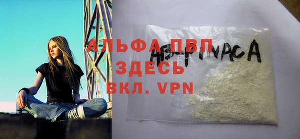 прущий лед Алзамай