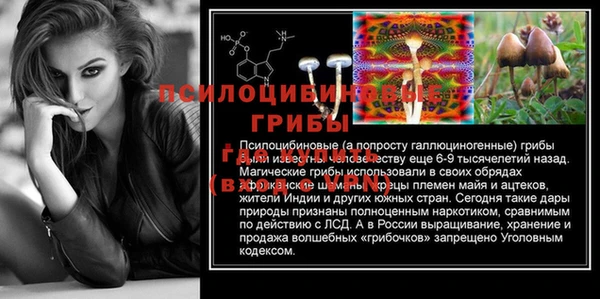 тгк Армянск