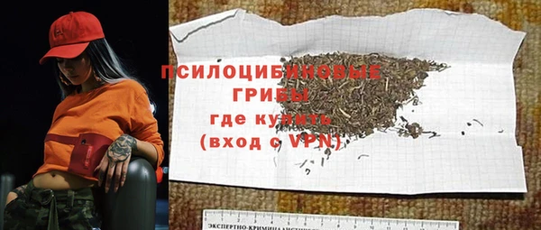apvp Аркадак