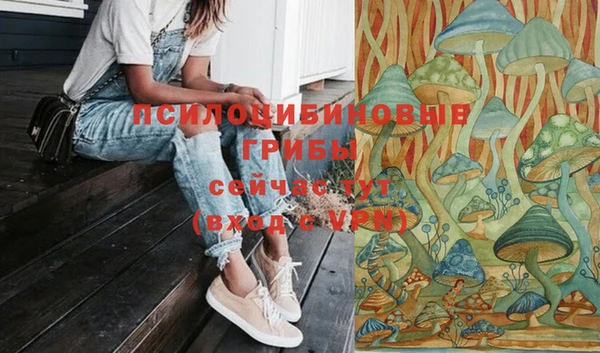 тгк Армянск