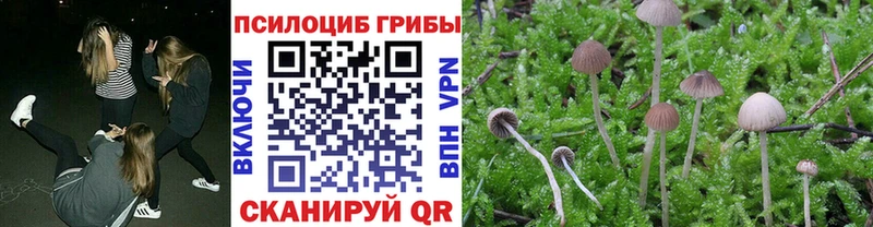 Псилоцибиновые грибы Magic Shrooms  наркота  Пустошка 