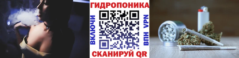 Шишки марихуана AK-47  kraken вход  Пустошка 